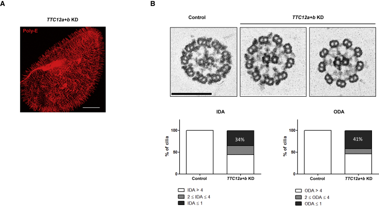 Figure 6