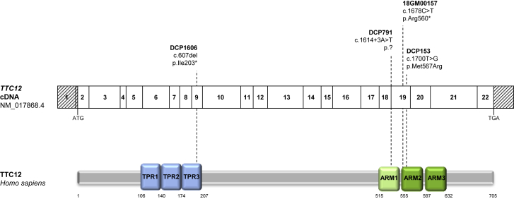 Figure 2