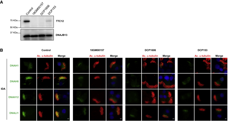 Figure 3