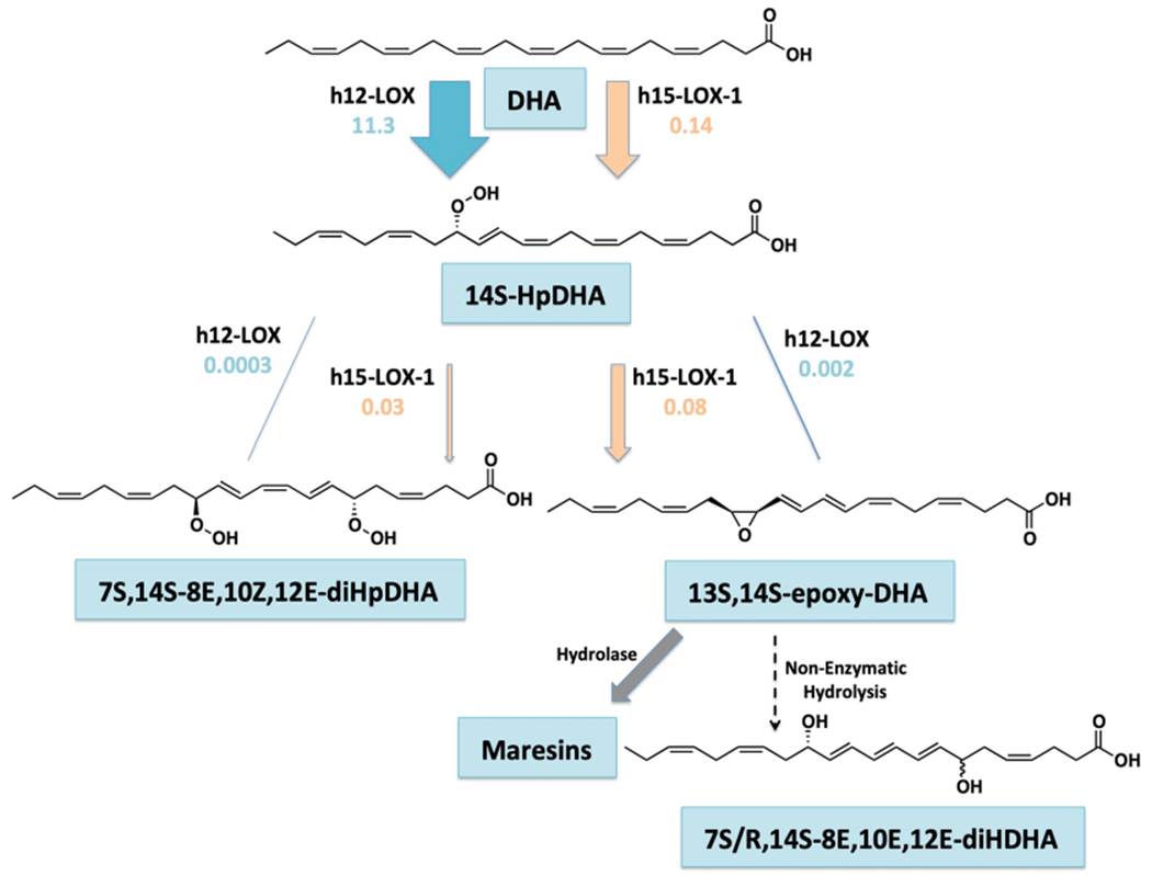 Scheme 1.