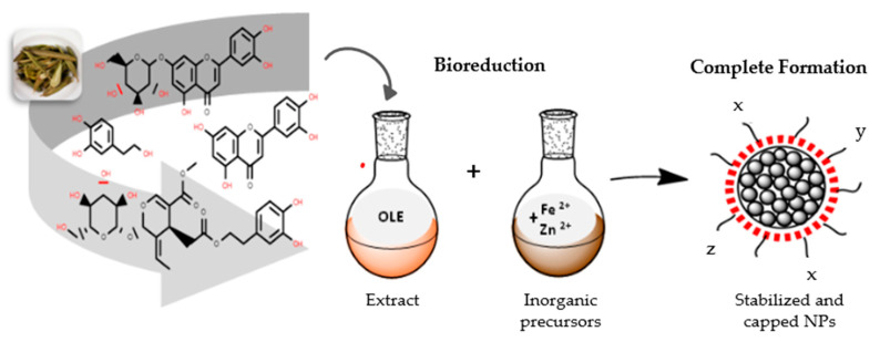 Scheme 1