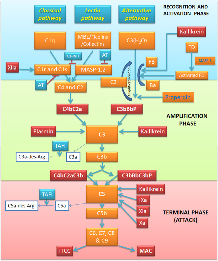 Figure 1