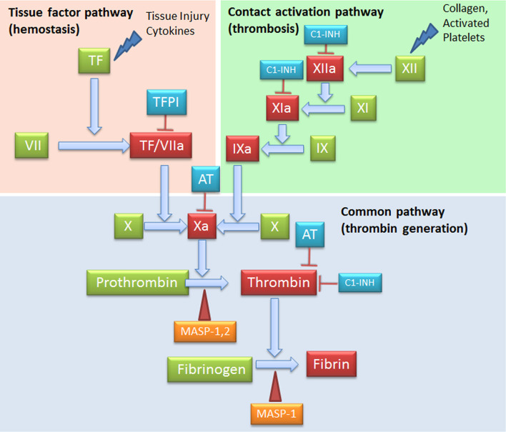 Figure 4