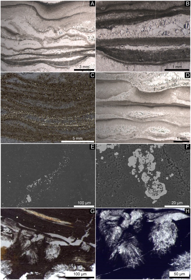 Fig 4