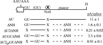 FIG. 5.