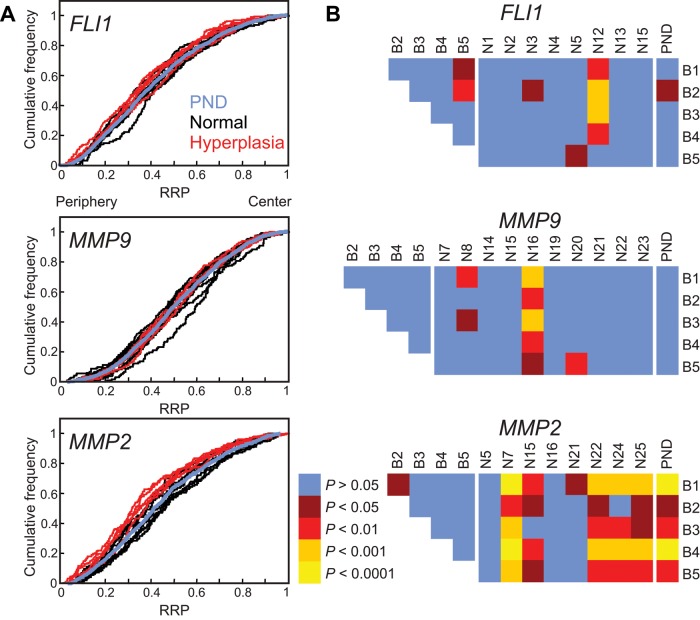 FIGURE 4: