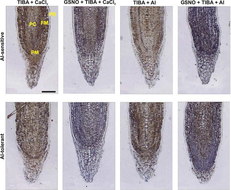 Fig. 6