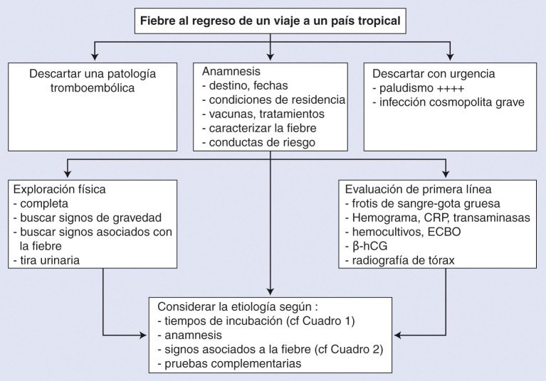 Figura 1