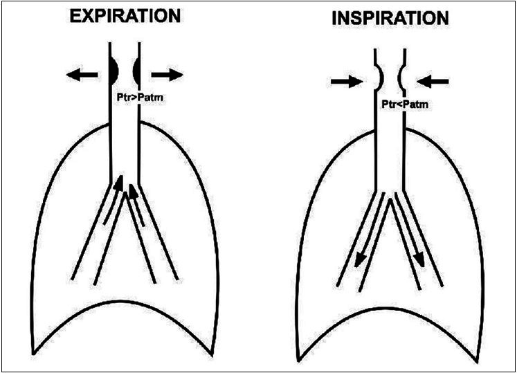 Figure 3a