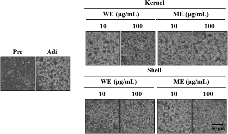 Fig. 4