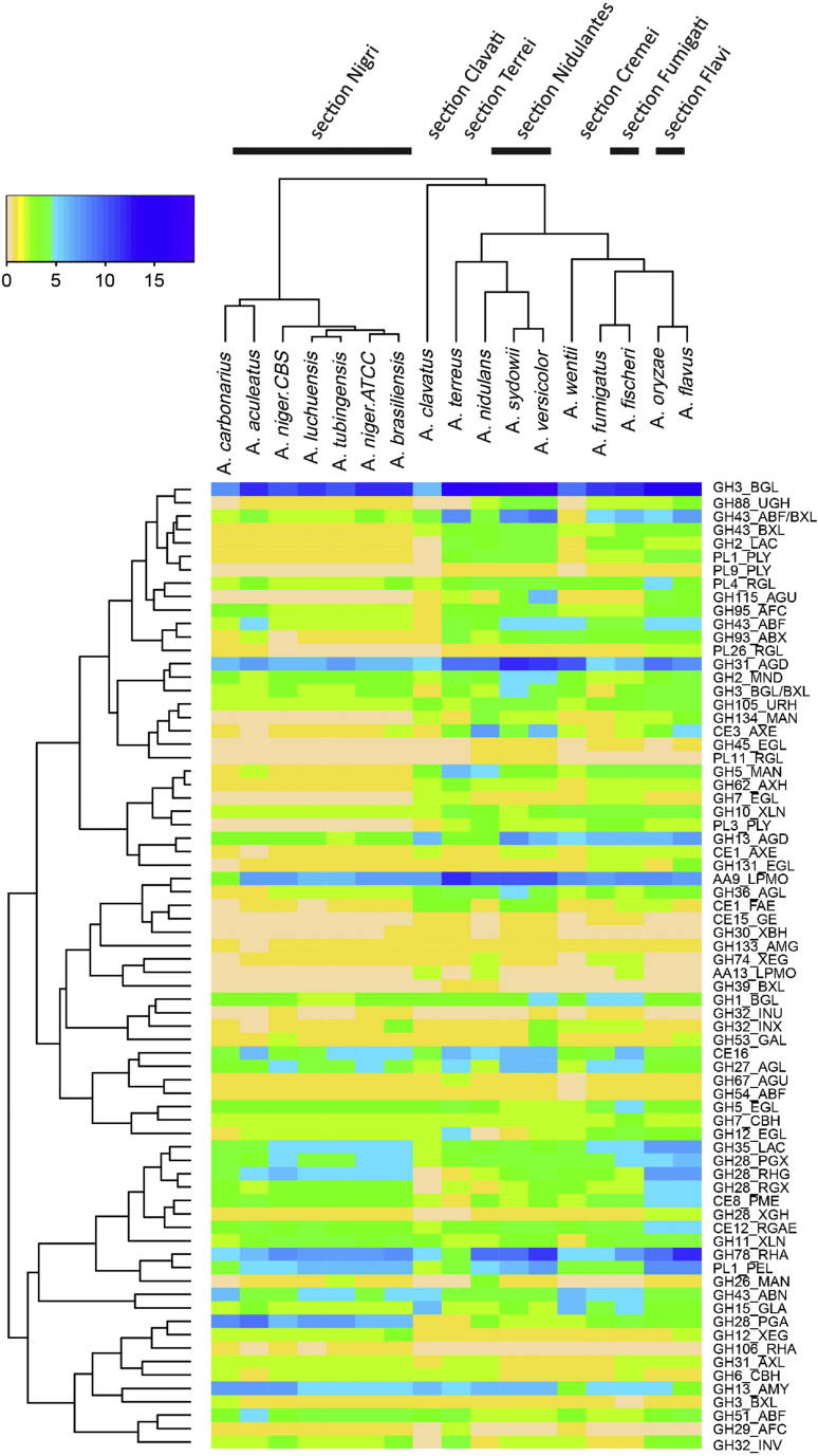 Fig. 1