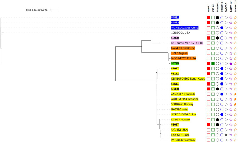 FIGURE 3