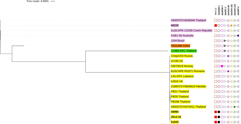 FIGURE 4