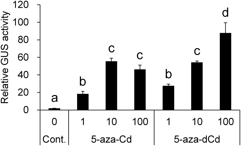 Figure 2. Dose response of GUS activity in 35S-2 cells treated with the nucleoside derivatives of 5-aza-Cs. The cells were treated with either 5-aza-Cd or 5-aza-dCd at a concentration of 1 µM (1), 10 µM (10), or 100 µM (100) for 5 days. Statistical analysis was performed using Tukey’s multiple comparison test. Different letters above the bars indicate a significant difference at p<0.05.