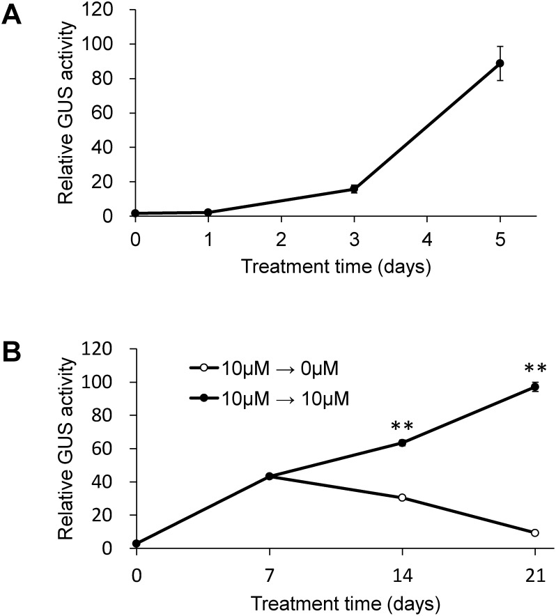 Figure 3. Time course of GUS activity in 35S-2 cells treated with 5-aza-Cd. The cells were cultured in a medium containing 10 µM 5-aza-Cd for 0, 1, 3, or 5 days (A). The cells were cultured in a medium containing 10 µM 5-aza-Cd for 7 days and then subcultivated in a medium with (●) or without (○) 5-aza-Cd every 7 days (B). Statistical analysis was performed using Student’s t-test (** p<0.01).