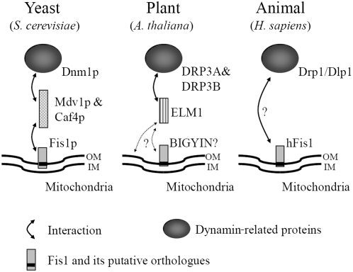 Figure 10.