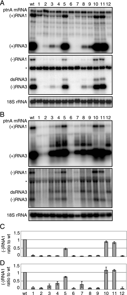 FIG. 8.