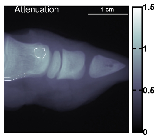 Figure 4a: