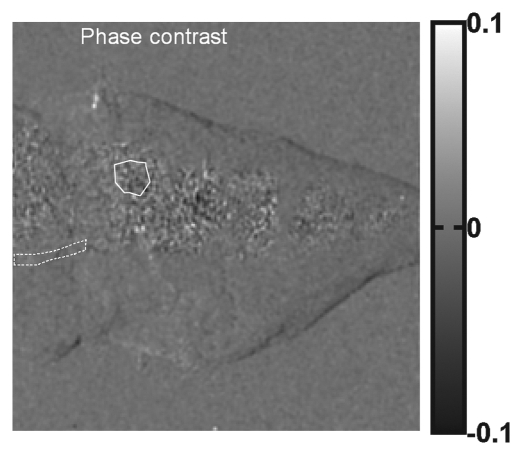 Figure 4c: