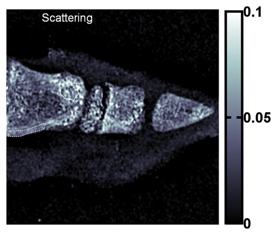 Figure 4b: