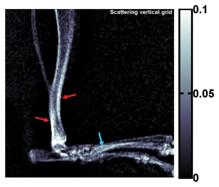 Figure 3b: