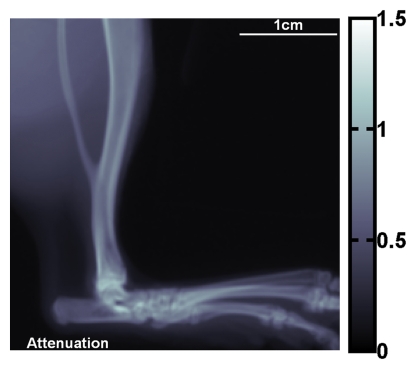 Figure 3a: