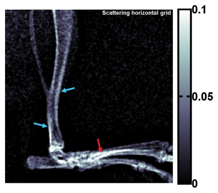 Figure 3c: