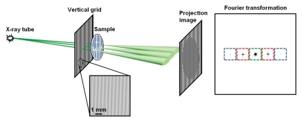 Figure 1a: