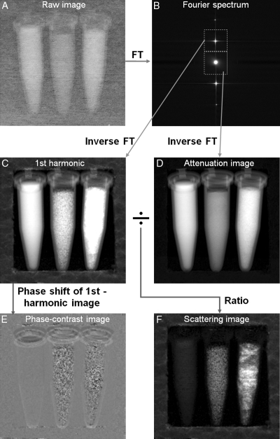 Figure 2: