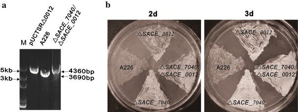 Fig. 4