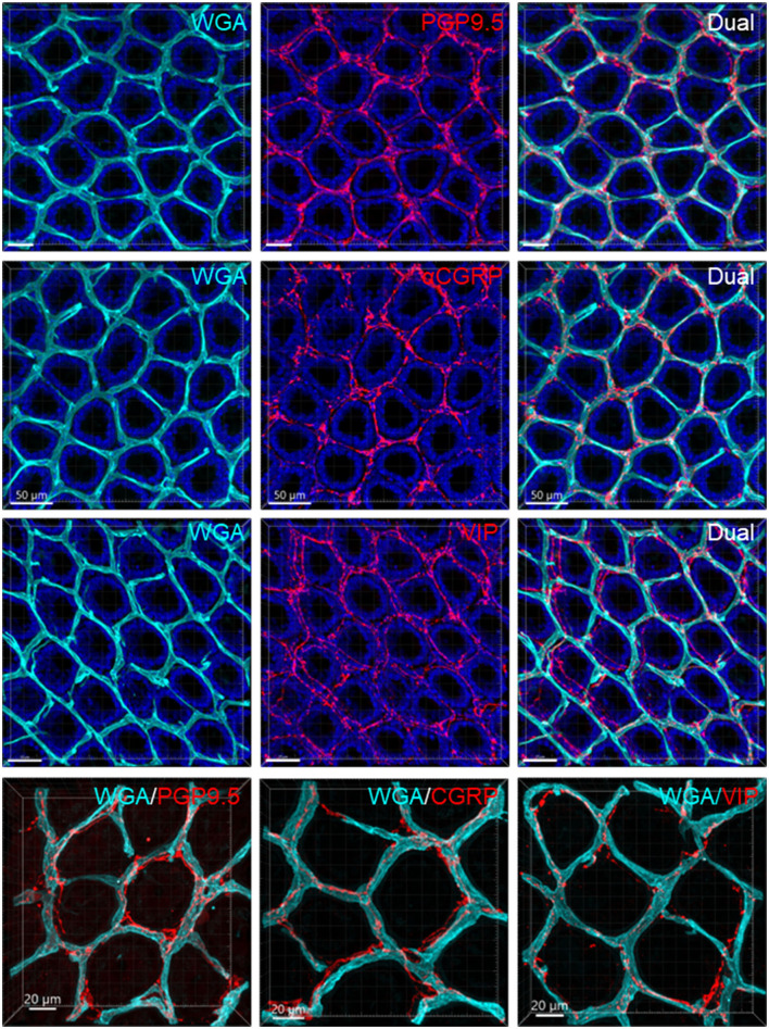 Figure 10