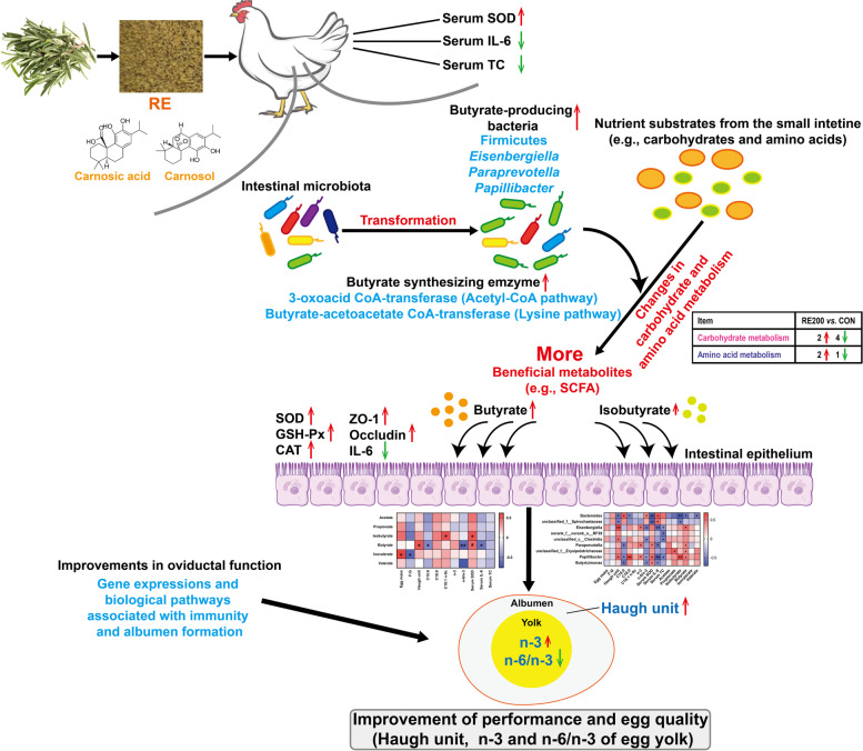 graphic file with name 40104_2023_904_Figa_HTML.jpg