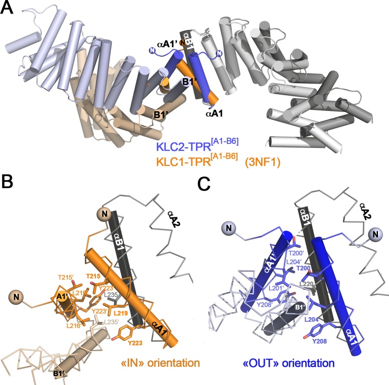 Fig 6