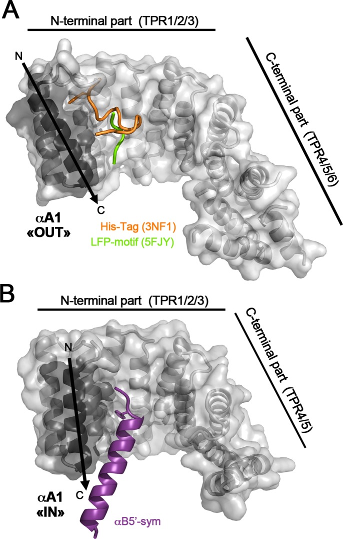 Fig 5