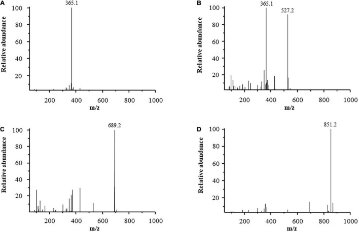 FIGURE 2