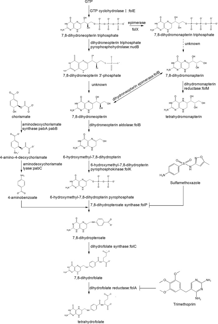 FIG 3