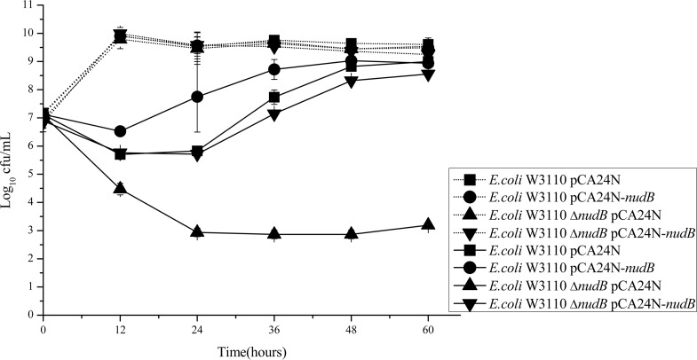 FIG 2