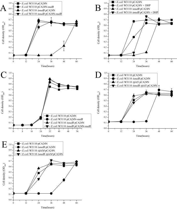 FIG 1