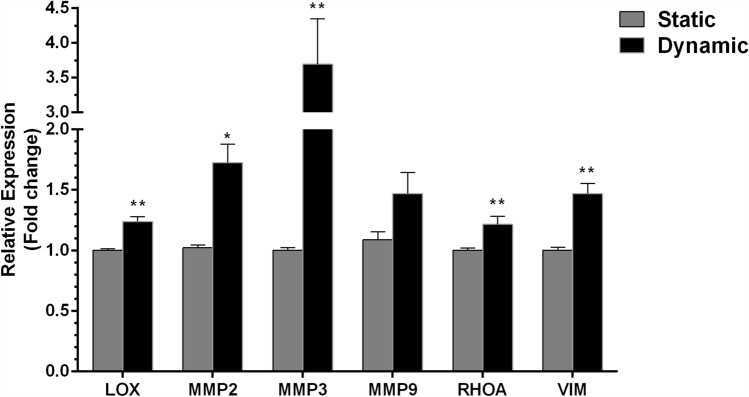 Figure 7