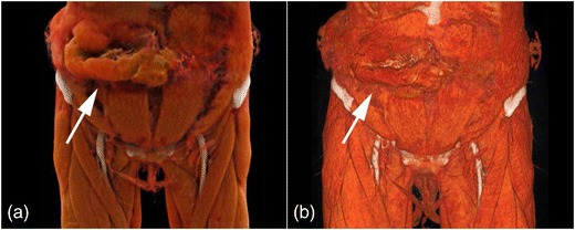 Fig. 8