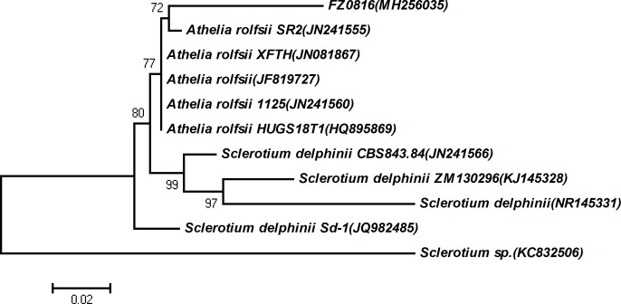 Fig 8