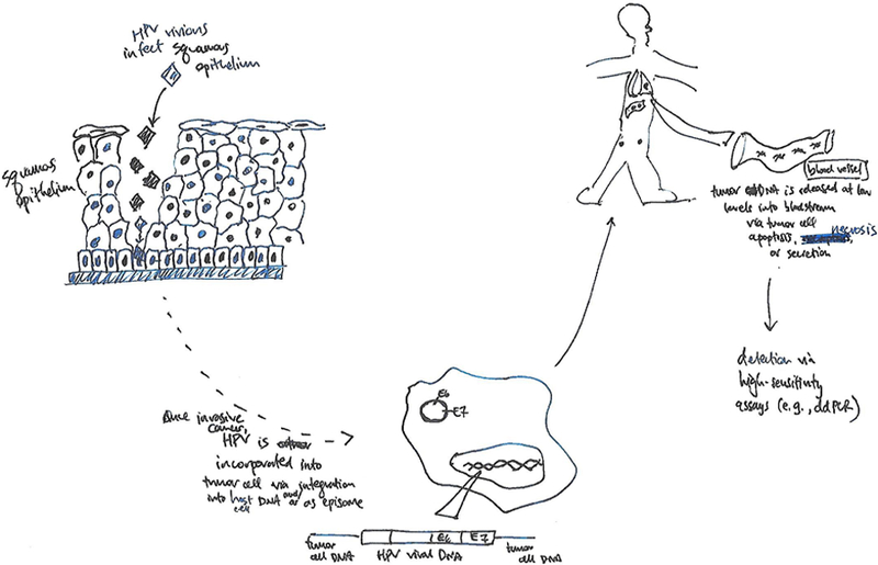 From infection to detection: