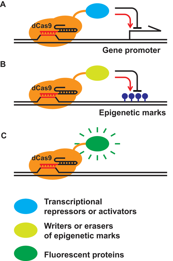 Figure 2.