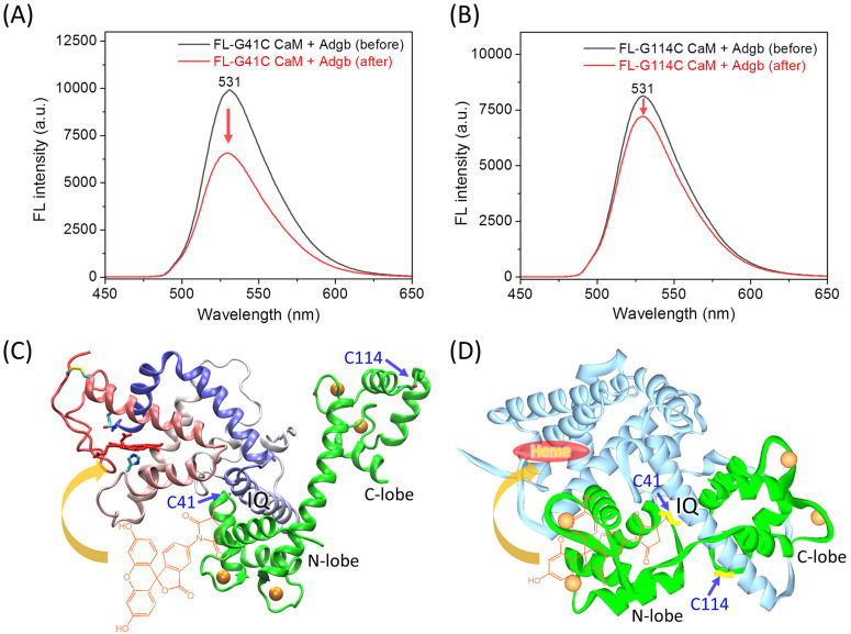 Fig. 3