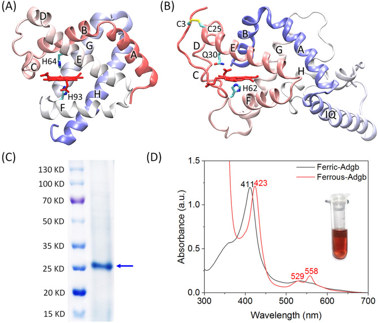 Fig. 1