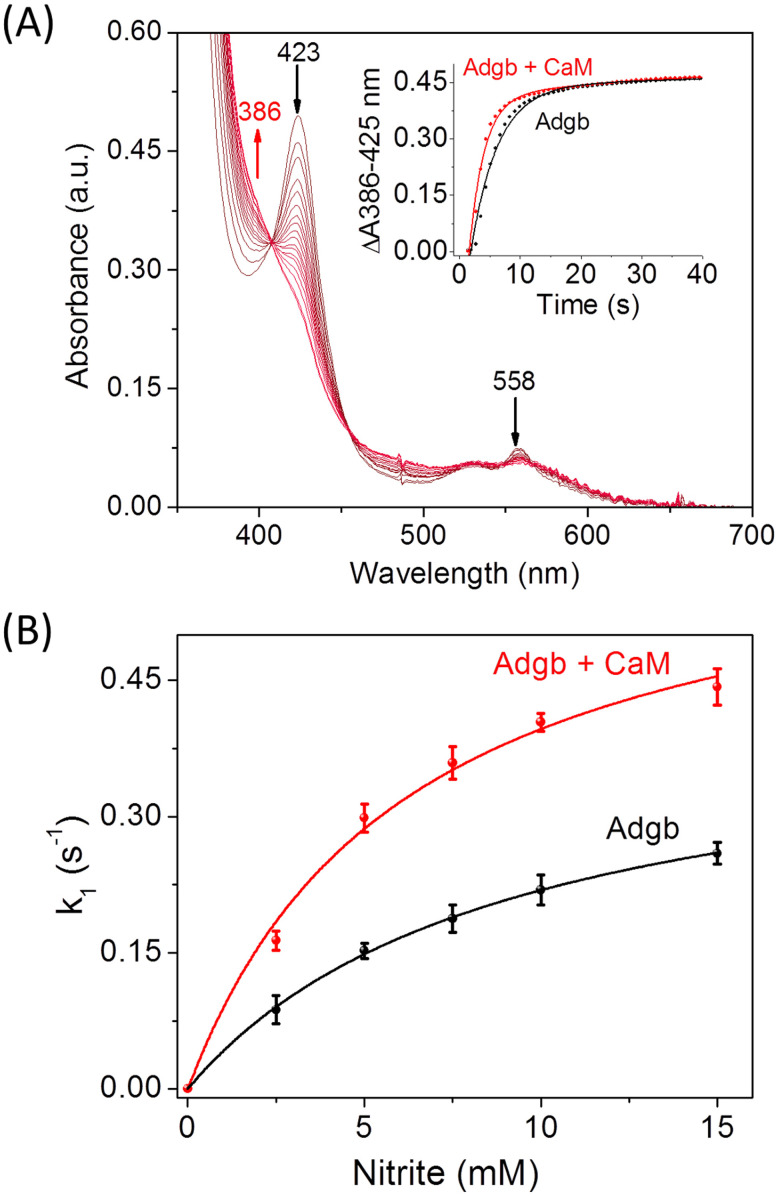 Fig. 4