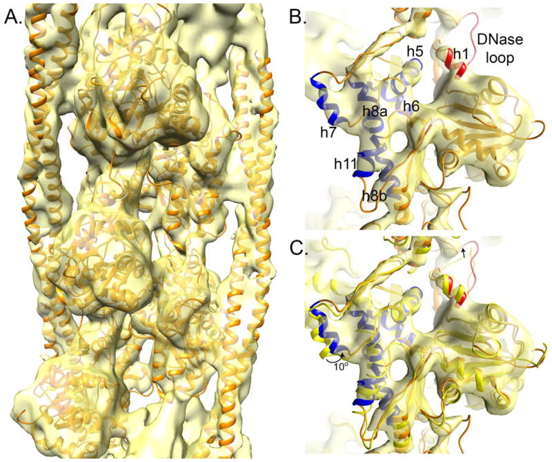 Figure 4