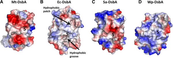 Figure 5