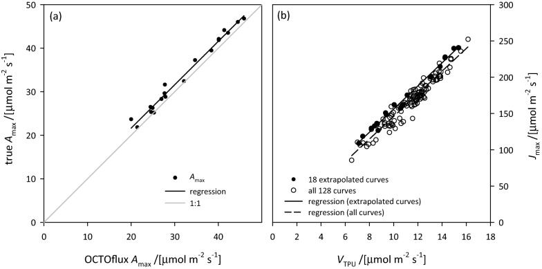 Fig. 6