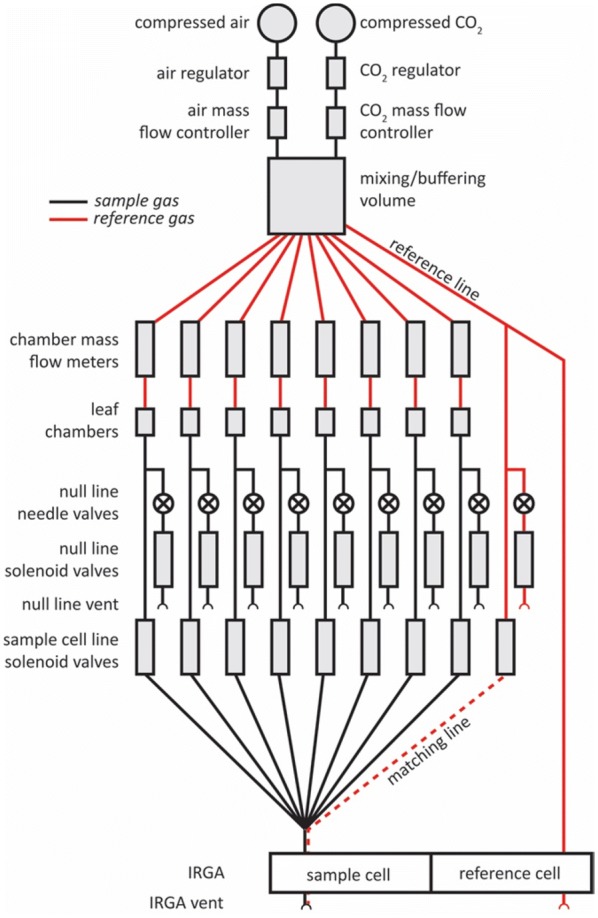 Fig. 8